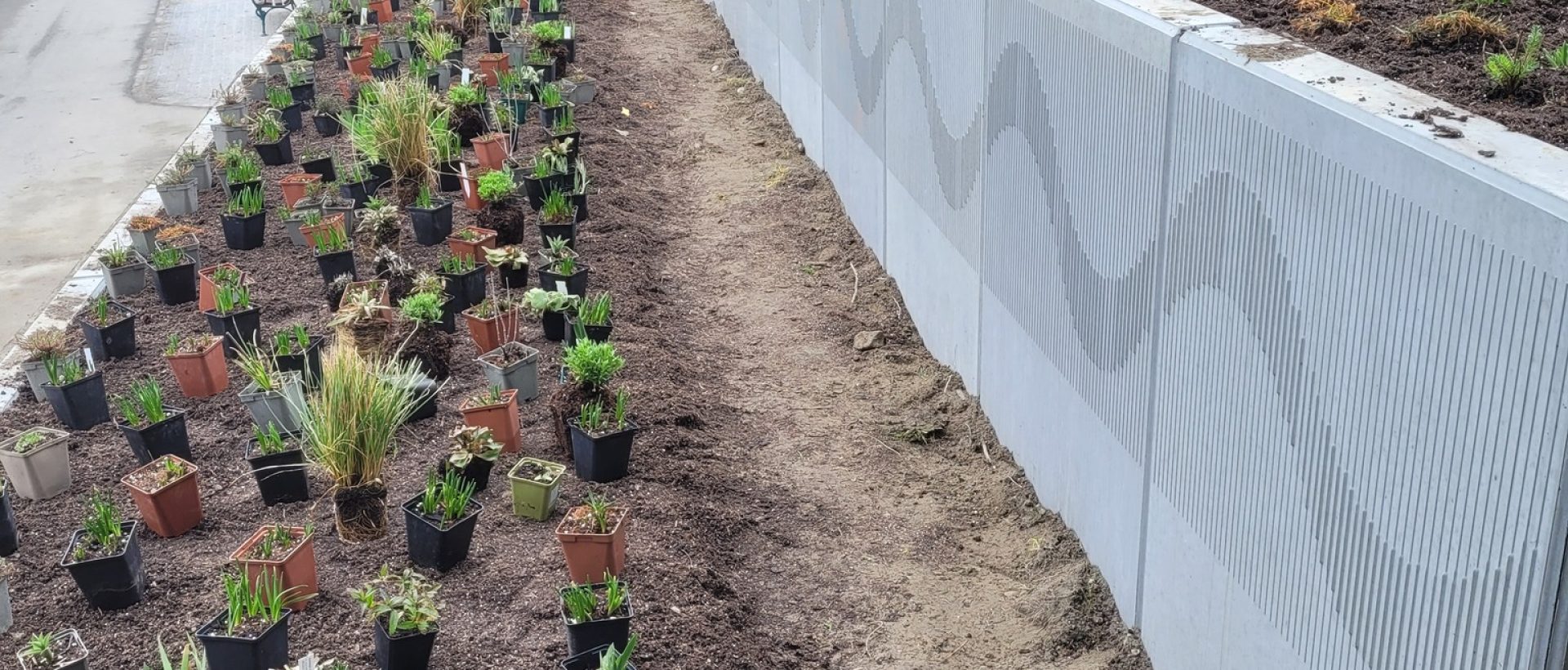 487319092_656505460659960_4092922633589489495_n