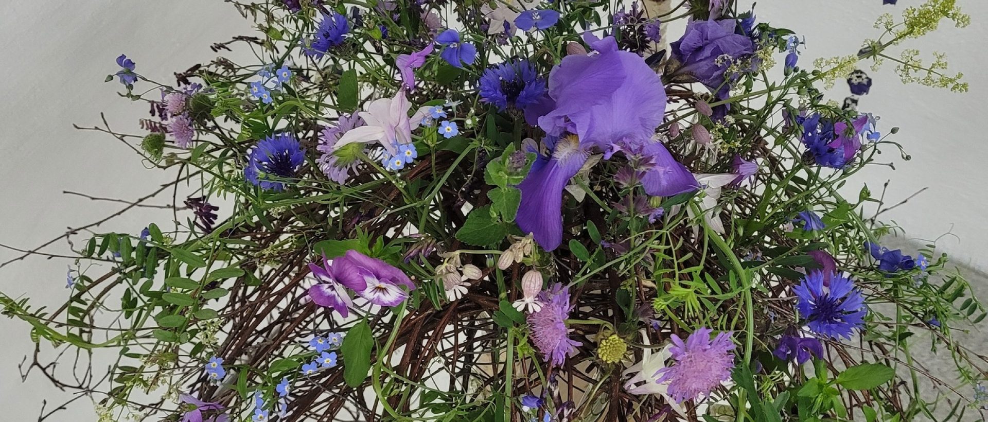 501815122_702268256083680_7052456330560153715_n