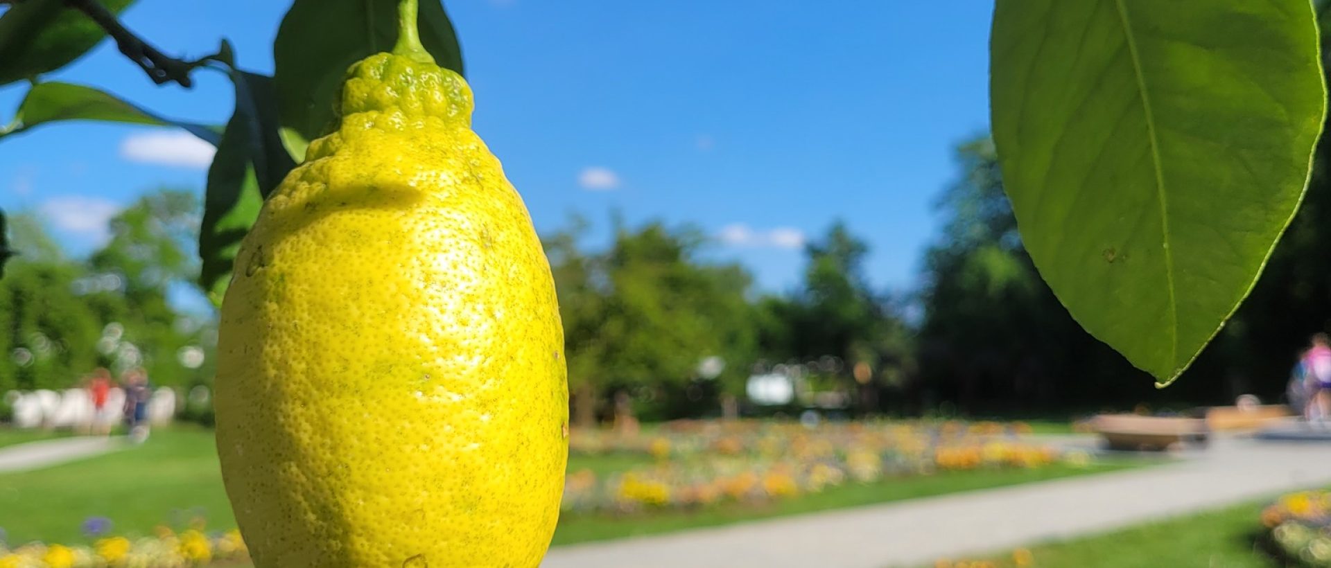 503570741_707061758937663_5614412826565084736_n