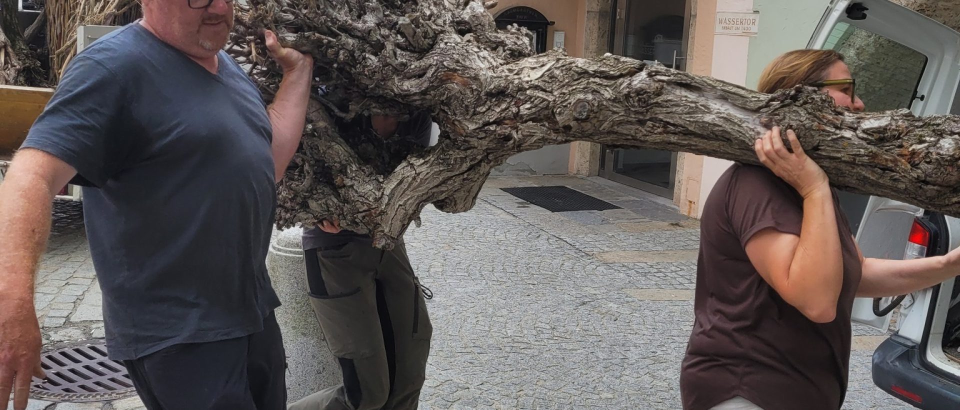 517594311_734600996183739_6495394146765354634_n