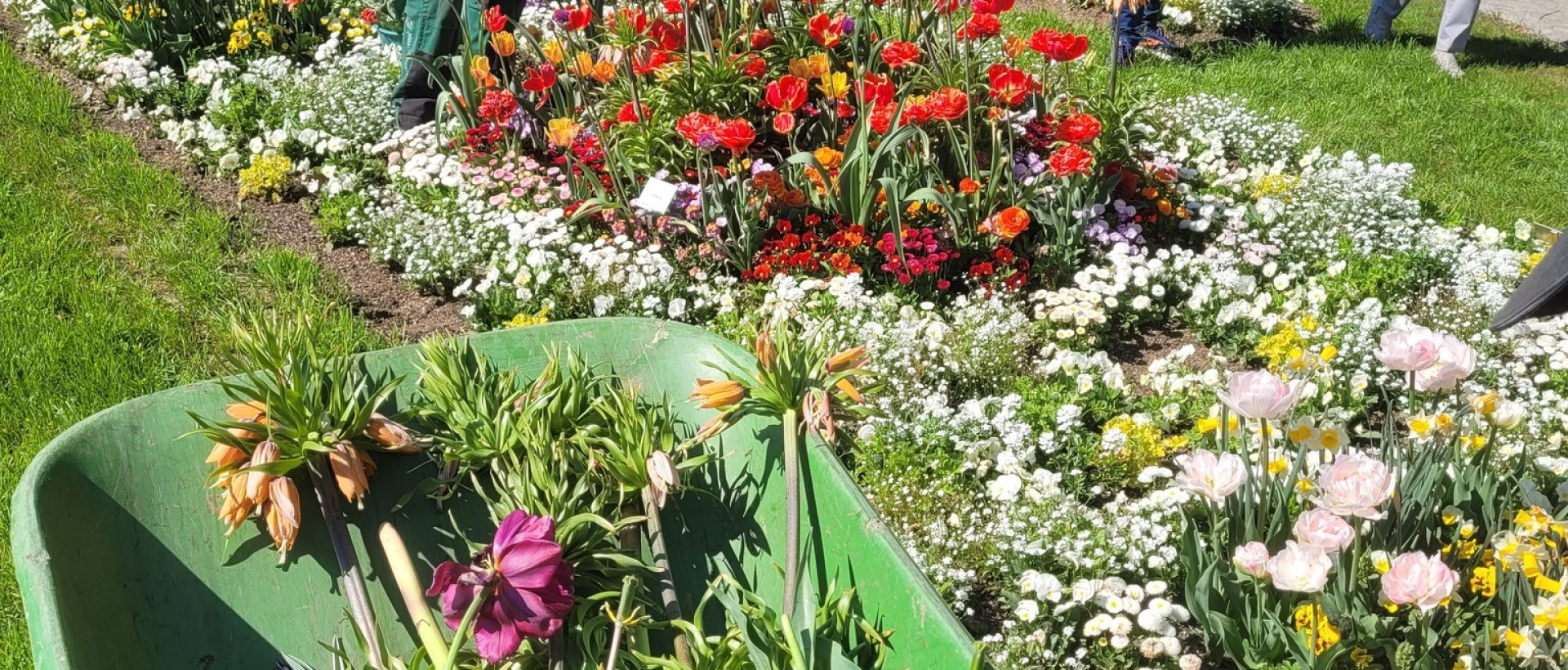 INNsGRÜN_BeautyBeete (1)