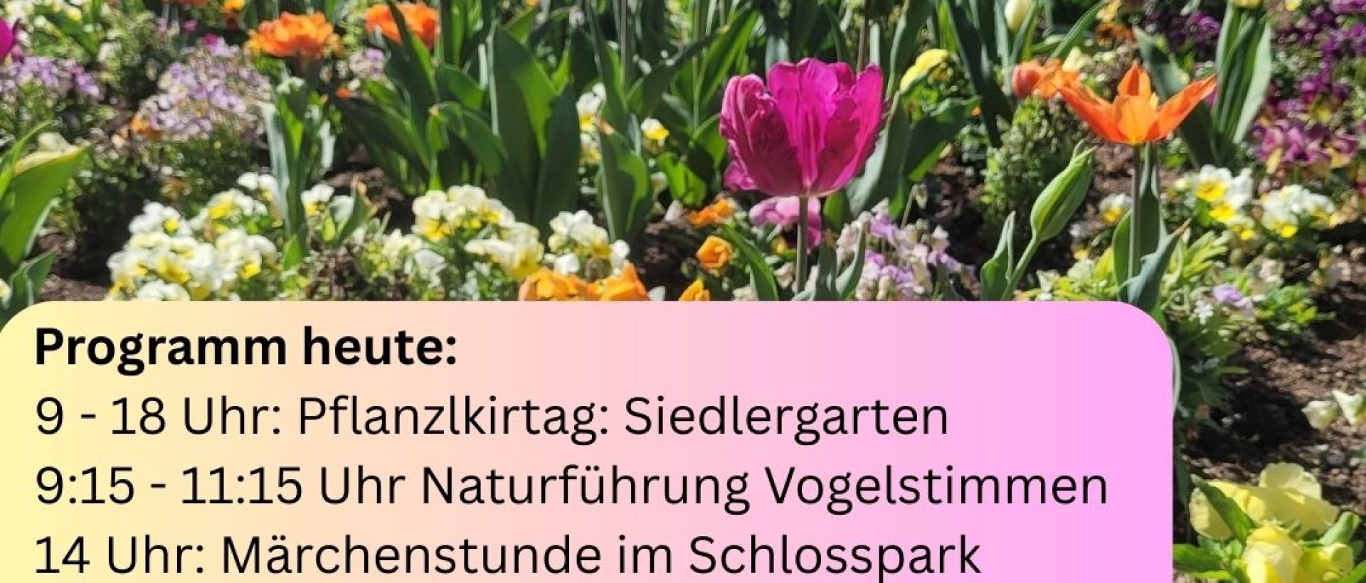 INNsGRÜN_ProgrammSO-27-04-2025