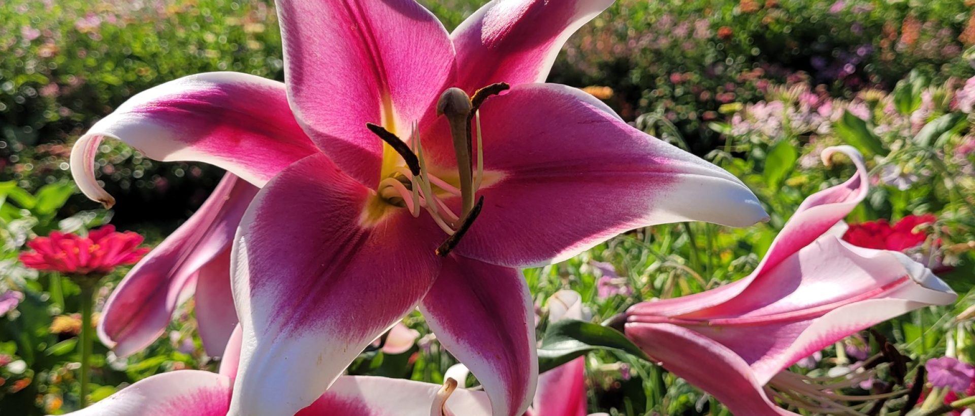 INNsGrün_Impressionen (1)