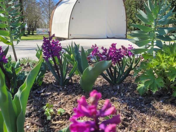 InnsGrün_3Wochen-vor-Eröffnung (1)