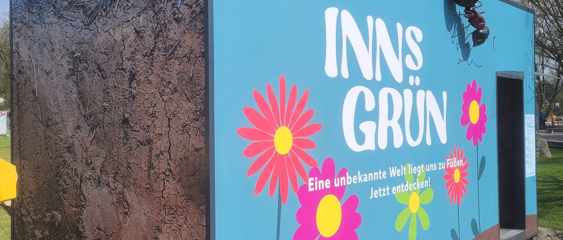 InnsGrün_Insekten (1)